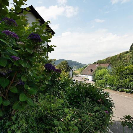Ferienwohnung Wintereck บรึห์เลอร์ทาล ภายนอก รูปภาพ