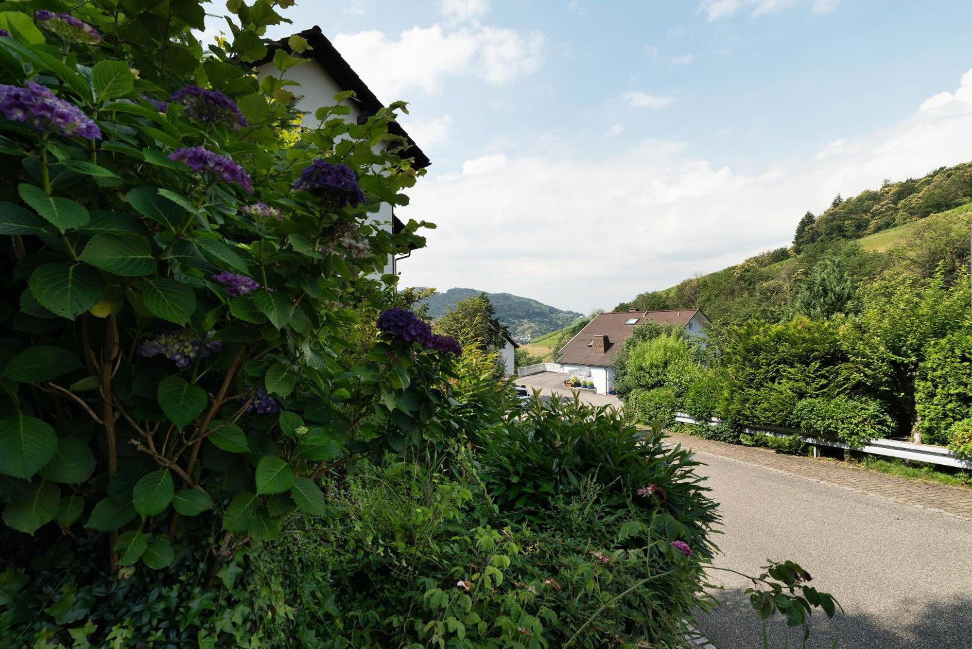 Ferienwohnung Wintereck บรึห์เลอร์ทาล ภายนอก รูปภาพ