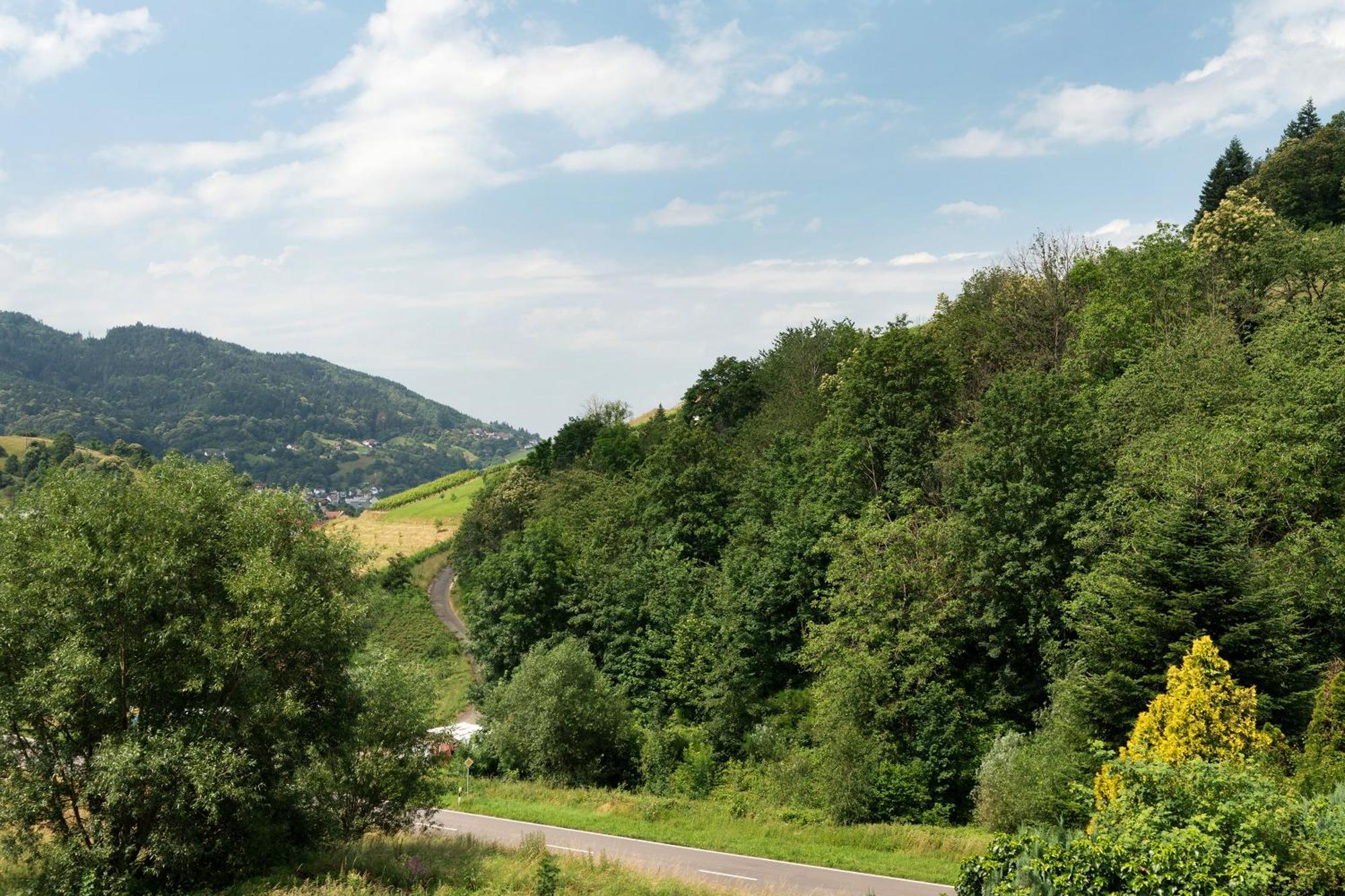 Ferienwohnung Wintereck บรึห์เลอร์ทาล ภายนอก รูปภาพ