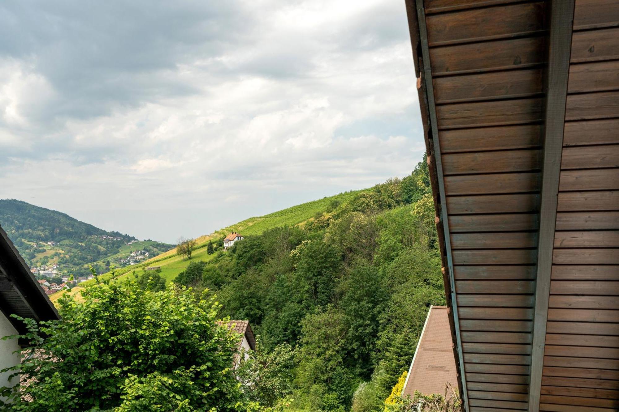 Ferienwohnung Wintereck บรึห์เลอร์ทาล ภายนอก รูปภาพ