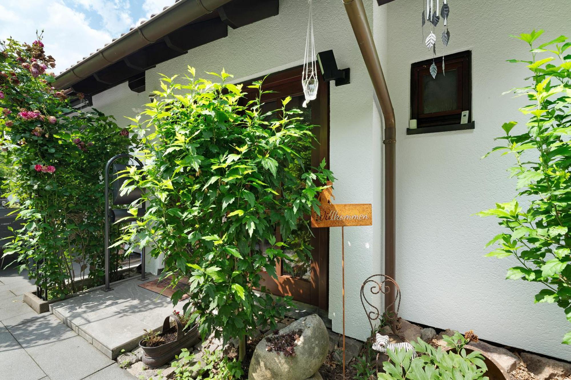 Ferienwohnung Wintereck บรึห์เลอร์ทาล ภายนอก รูปภาพ